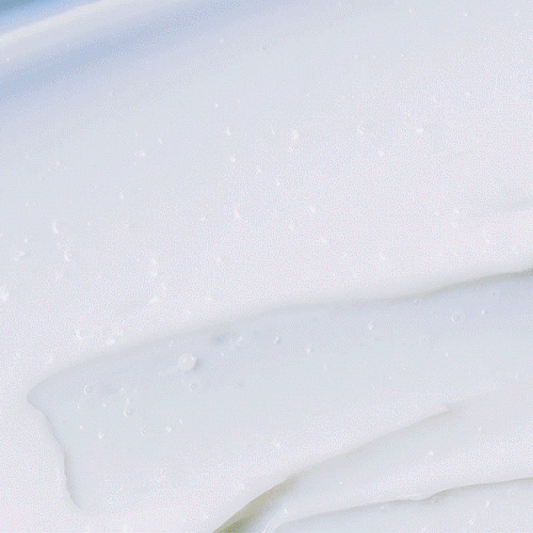 Birch Juice Moisturizing Cream - Embe Skin