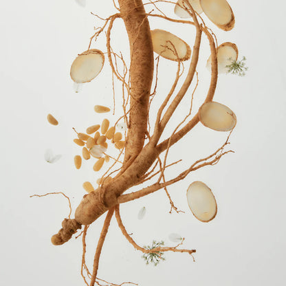 Revive Firming Moisturizer Ginseng + Retinol