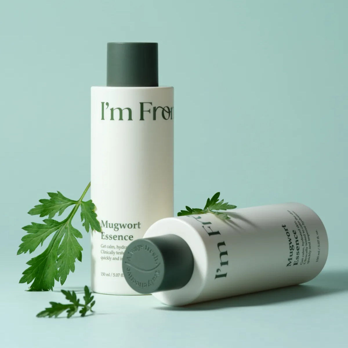 Mugwort Essence