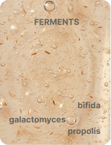 FERMENTS