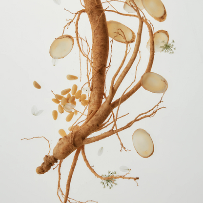 Beauty of Joseon Ginseng Moist Sun Serum SPF 50+ PA++++ 50ml at Embé Skin Korean and Japanese Beauty Skincare