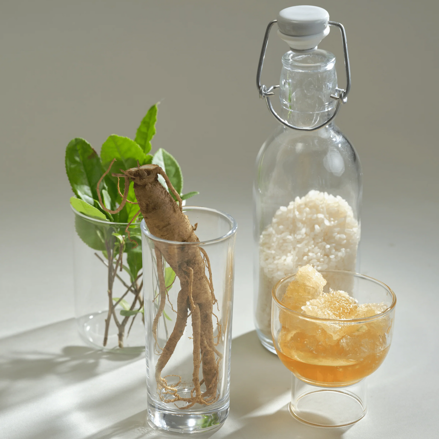 Beauty of Joseon Hanbang Serum Discovery Kit 4 x 10ml at Embé Skin Korean and Japanese Beauty Skincare