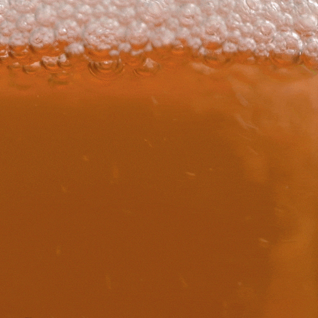 Isntree Green Tea Fresh Toner 200ml at Embé Skin Korean and Japanese Beauty Skincare 