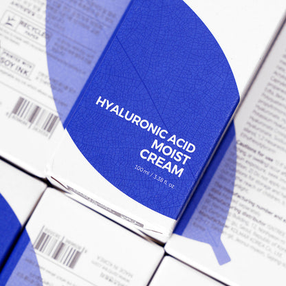 Isntree Hyaluronic Acid Moist Cream 100ml at Embé Skin Korean and Japanese Beauty Skincare 