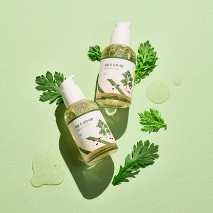 ROUND LAB Mugwort Calming Serum 50ml at Embé Skin Korean and Japanese Beauty Skincare