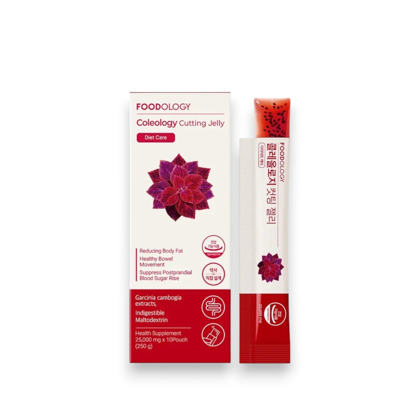 Coleology Cutting Jelly