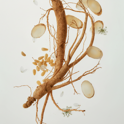 Revive Serum Ginseng + Snail Mucin